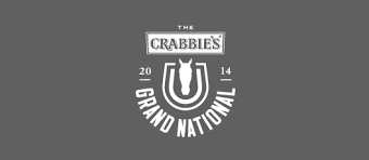 2015 Crabbie's Grand National Odds