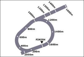 Cranbourne Odds