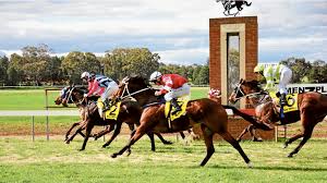 Narrandera Odds