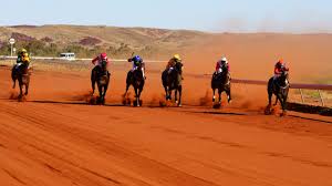 Roebourne Odds