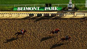 Belmont Park  Odds