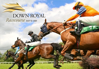 Down Royal Odds