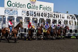 Golden Gate Fields Odds