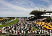 Goodwood Odds