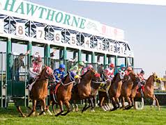 Hawthorne Odds