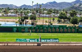 Turf Paradise Odds