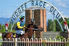 Mudgee Odds