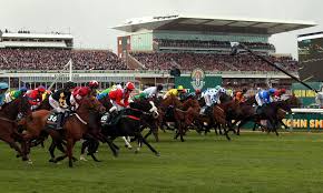 Grand National 2014 Odds