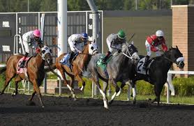 Presque Isle Downs Odds