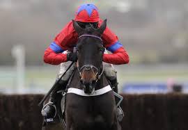 Cheltenham Queen Mother Champion Chase Odds