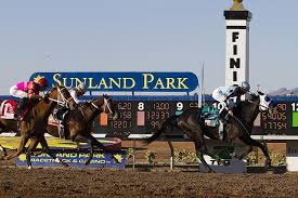 Sunland Park Odds