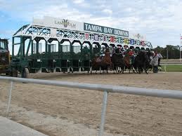 Tampa Bay Downs Odds