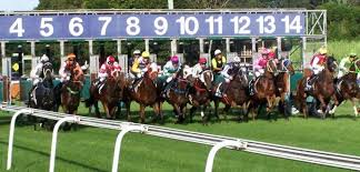 Murwillumbah Odds